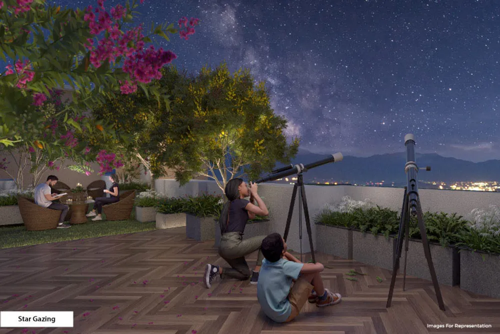 Star Gazing